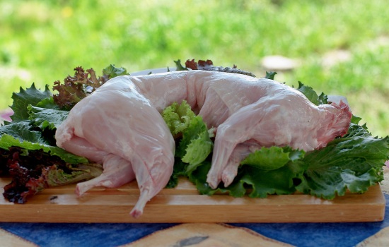Что можно рассказать о гастрономической ценности и пользе мяса кролика. Как правильно его выбирать и есть ли вред в мясе кролика