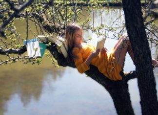 Лучшие романы-книги: что почитать на досуге? Какой роман считает лучшим домохозяйка или бизнес-леди: любимые книги современных женщин